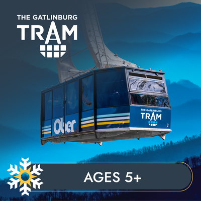 Tram Ticket - 5 and up