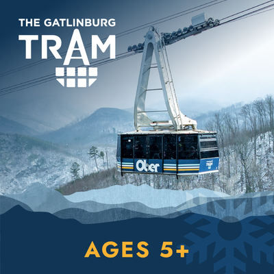 Tram Ticket - 5 and up