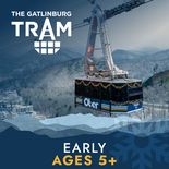 Tram Ticket -Holiday Early Day Arrival