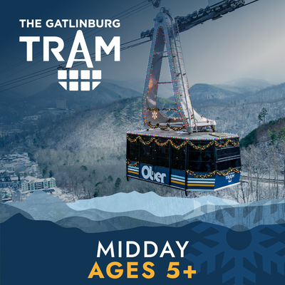 Tram Ticket -Holiday Midday Arrival