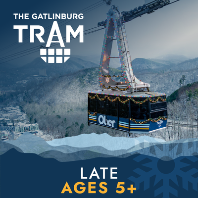 Tram Ticket -Holiday Late Day Arrival