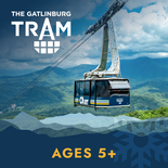 Tram Ticket - 5 and up