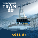 Tram Ticket - 5 and up