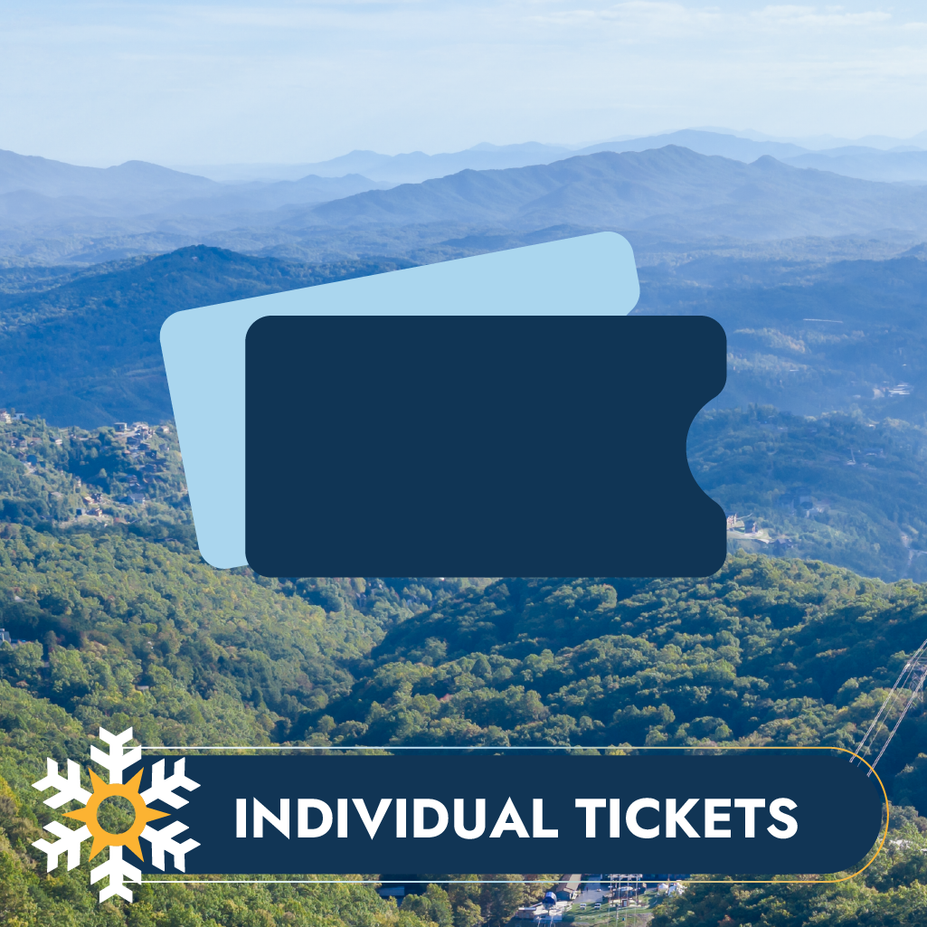 Individual Tickets