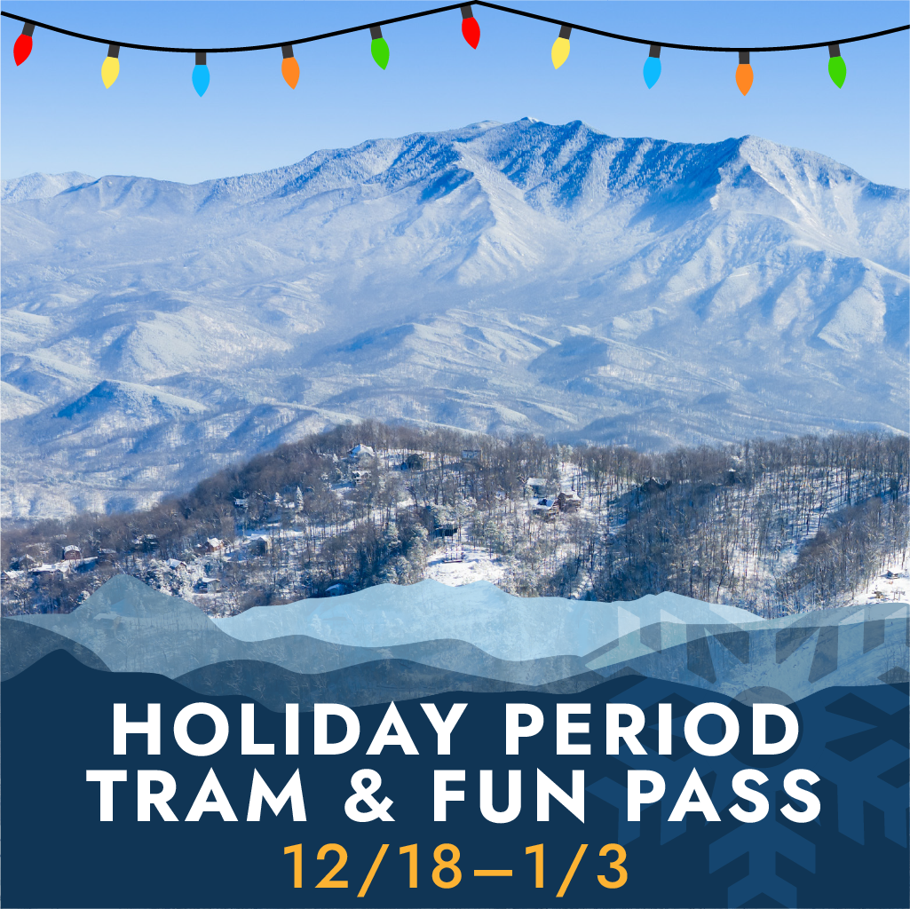 Holiday Tram & Fun Pass